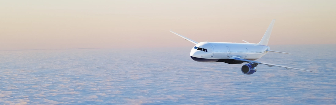 Voyage Manager Tracks Flights